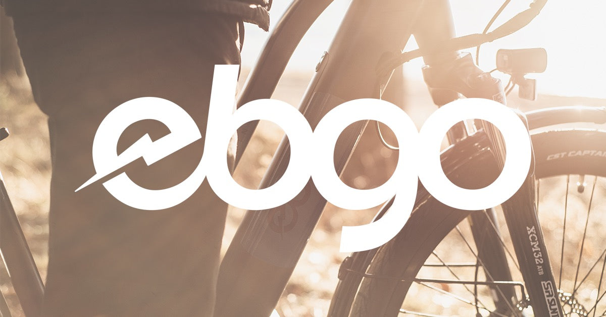 Velo best sale electrique ebgo